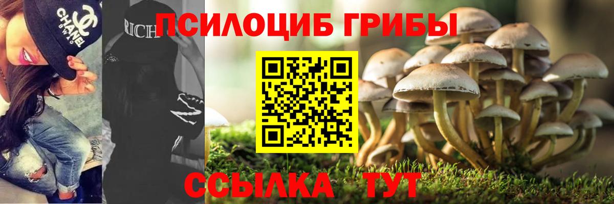 Псилоцибиновые грибы мухоморы  сколько стоит  Видное  Вход с VPN 